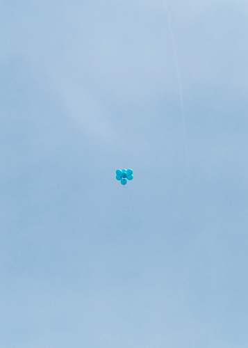 adventure  blue